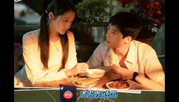 电脑端vpn软件教程